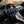 Load image into Gallery viewer, 2014 Land Rover - Range Rover Evoque Dynamic - Black on Black
