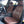 Load image into Gallery viewer, 2007 BMW 335i Sedan E90 - Monaco Blue