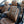 Load image into Gallery viewer, 2011 BMW 335i Cabriolet