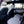 Load image into Gallery viewer, 2012 BMW X5 - xDrive35i - 7 Seat - 1 Owner