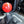 Load image into Gallery viewer, 2012 Ford Mustang Boss 302