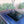 Load image into Gallery viewer, 2011 BMW 328i - 1-owner - Deep Sea Blue
