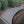 Load image into Gallery viewer, 2005 Mercedes-Benz - C230 Kompressor