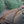 Load image into Gallery viewer, 2015 Lexus ES 350 Crafted Line