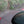 Load image into Gallery viewer, 2009 Jaguar XF - 1 Owner