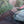 Load image into Gallery viewer, 2011 Jaguar XF - Premium - Portfolio Package