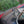 Load image into Gallery viewer, 2011 Mercedes-Benz E350 Cabriolet