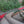 Load image into Gallery viewer, 2007 Bentley - Continental GT - Mulliner Driving Specification