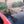 Load image into Gallery viewer, 2012 Ford Mustang Boss 302