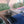 Load image into Gallery viewer, 2009 Mercedes-Benz - CLK 350 - AMG Styling Package