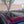 Load image into Gallery viewer, 2012 BMW X5 - xDrive35i - 7 Seat - 1 Owner