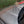 Load image into Gallery viewer, 2013 Land Rover Range Rover Evoque Pure Premium - Gray/Black