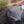 Load image into Gallery viewer, 2009 Dodge Challenger SRT-8