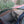 Load image into Gallery viewer, 2004 BMW Z4 3.0i