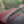 Load image into Gallery viewer, 2008 Mercedes-Benz - S550 - 1 owner