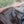 Load image into Gallery viewer, 2011 Jaguar XF - Premium - Portfolio Package