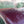 Load image into Gallery viewer, 2008 BMW 328i Hardtop Convertible - 36k miles