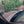 Load image into Gallery viewer, 2011 Mercedes-Benz E350 Cabriolet
