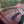 Load image into Gallery viewer, 2008 Mercedes-Benz - S550 - 1 owner