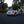 Load image into Gallery viewer, 2005 VW New Beetle GLS Cabriolet