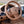 Load image into Gallery viewer, 2011 Porsche Cayenne S - Launch Edition