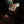 Load image into Gallery viewer, 2011 Mercedes-Benz S63 AMG Performance Package (P30)